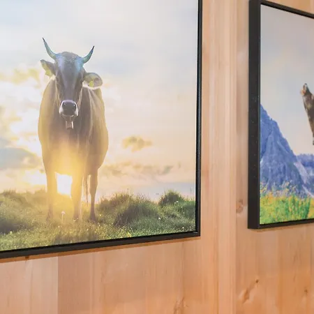 Forellenhof 4* Flachau